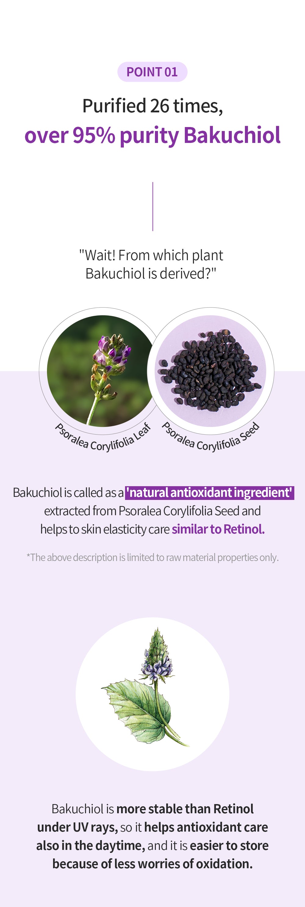 Suero BENTON Bakuchiol 35 ml / 1,18 fl. oz.