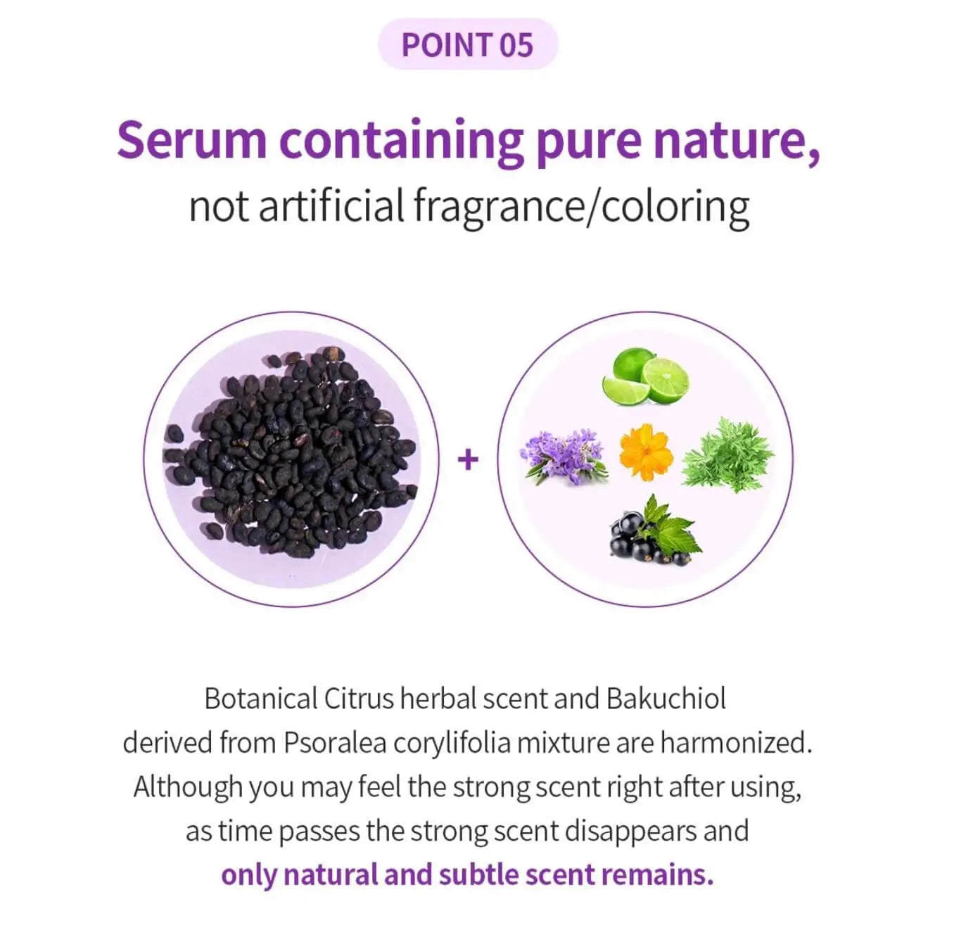 Suero BENTON Bakuchiol 35 ml / 1,18 fl. oz.
